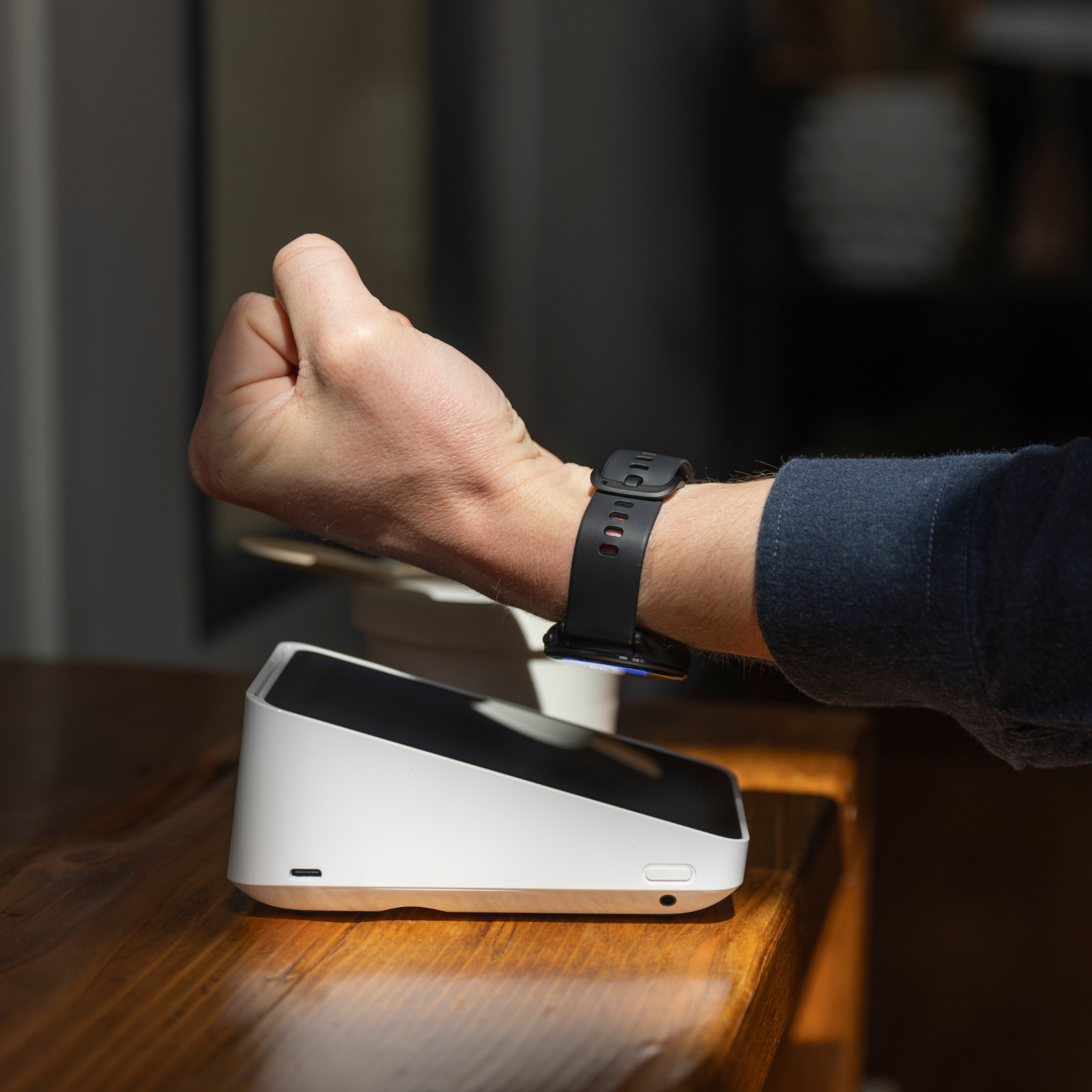 garmin-pay